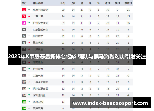 2025年K甲联赛最新排名揭晓 强队与黑马激烈对决引发关注 2025年K甲联赛最新排名揭晓 强队与黑马激烈对决引发关注