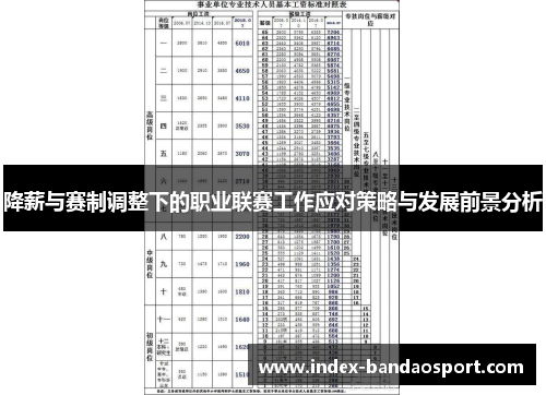 降薪与赛制调整下的职业联赛工作应对策略与发展前景分析